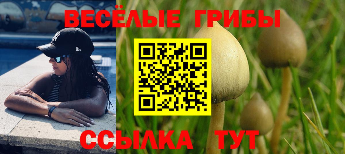 Псилоцибиновые грибы MAGIC MUSHROOMS  Вход с VPN  Вышний Волочёк 