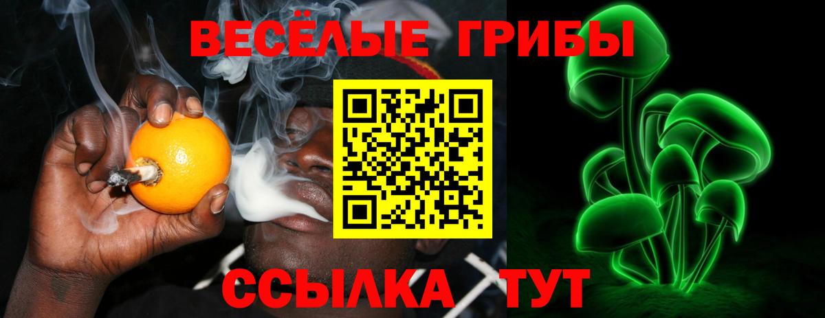 Псилоцибиновые грибы Magic Shrooms Вышний Волочёк